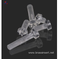 Acrylic Screw transparent plastic screw